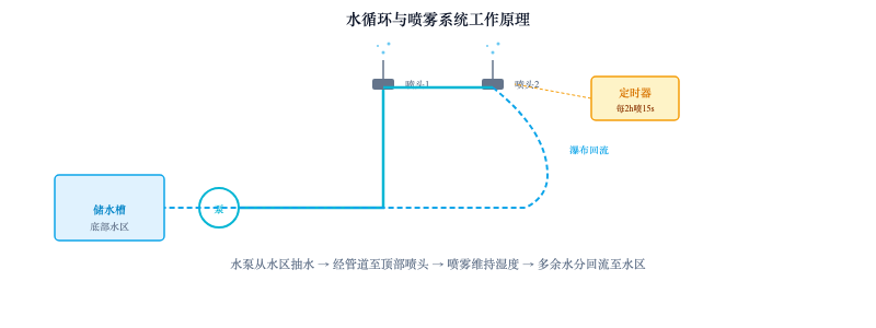 水陆两栖世界：雨林缸开缸完全指南