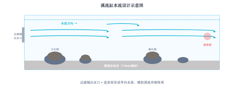 还原山涧溪流：溪流缸开缸教程与生态搭建