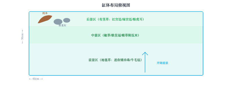 从零开始：60cm 水草缸开缸全攻略