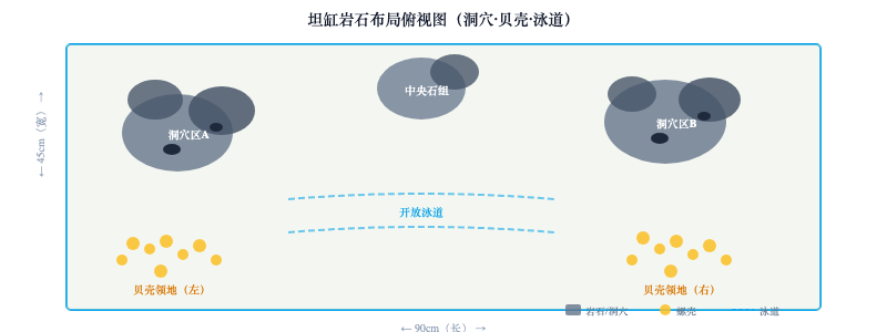 坦噶尼喀湖生态还原：岩石缸开缸教程