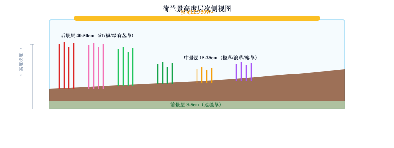 荷兰景入门：色彩搭配与植物层次法则