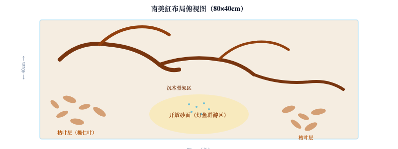 亚马逊支流还原：南美沉木缸开缸实录